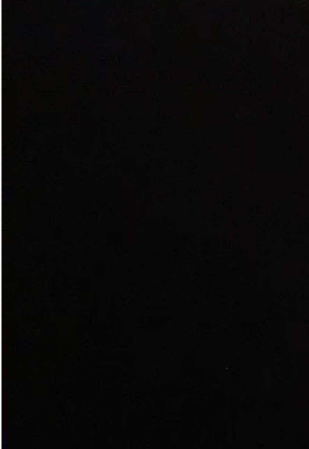 @エヴェリナ🕷️