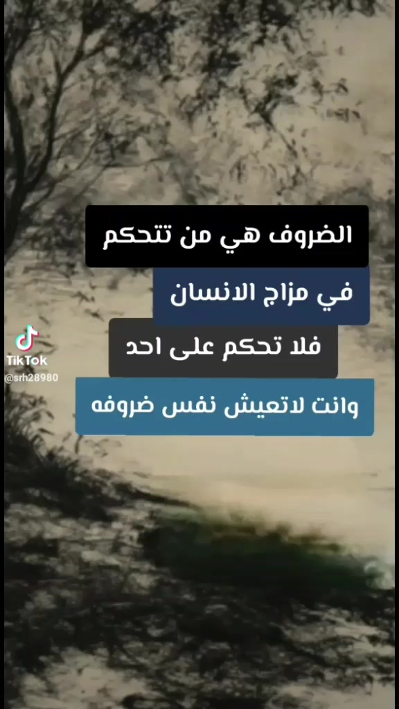 @طالب احمد