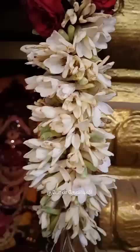 @SRAMALINGAM 🌹🌹Singapore