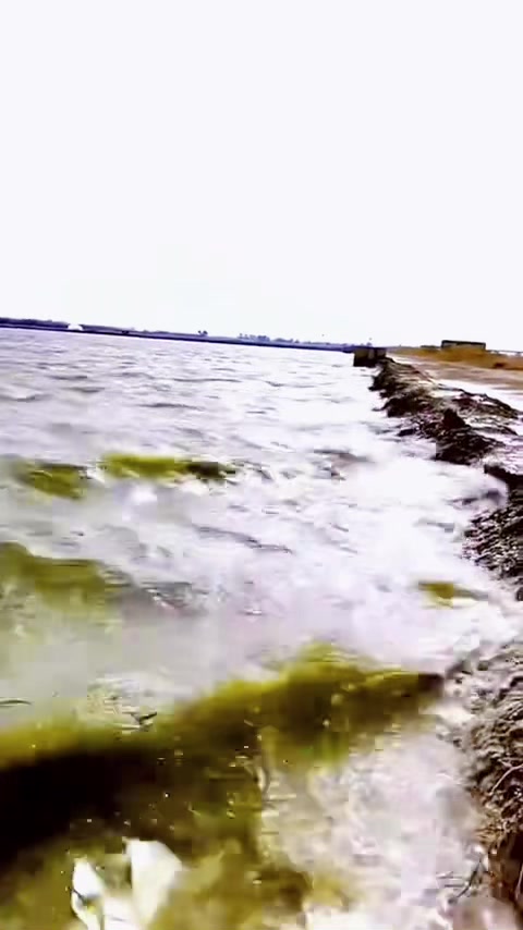 @....𝓐𝓵_𝓩𝓾𝓫𝓪𝓲𝓭𝓲