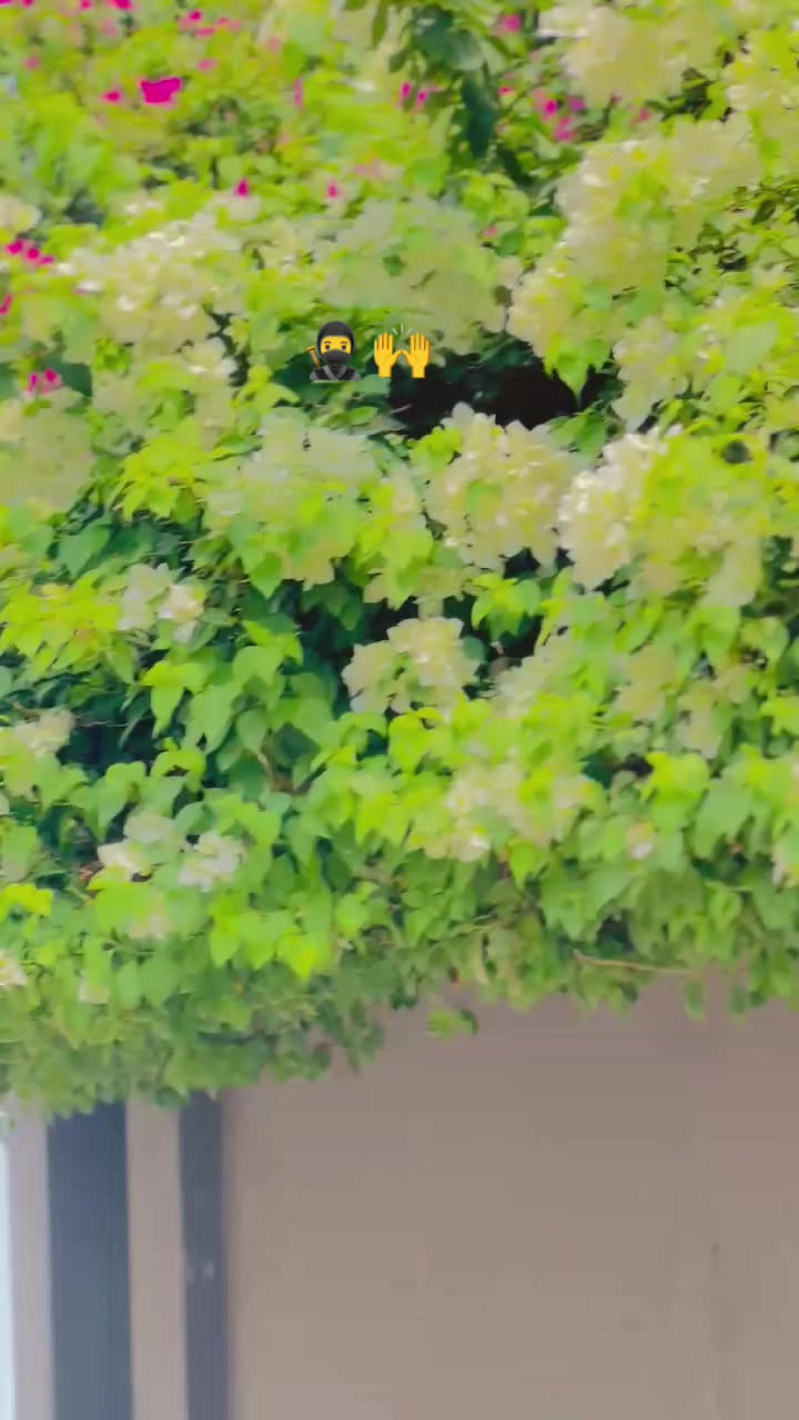 @🦅اسو ڈنگا بلوچ🥷
