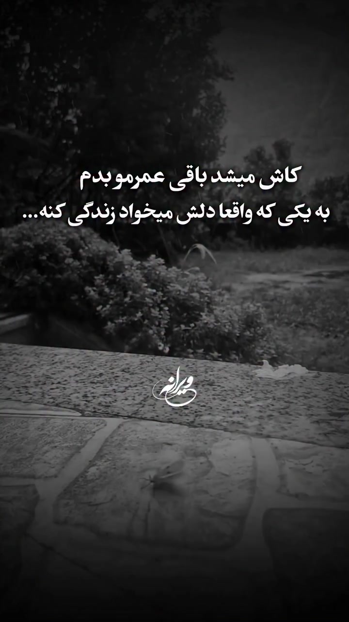 @n.ak2121