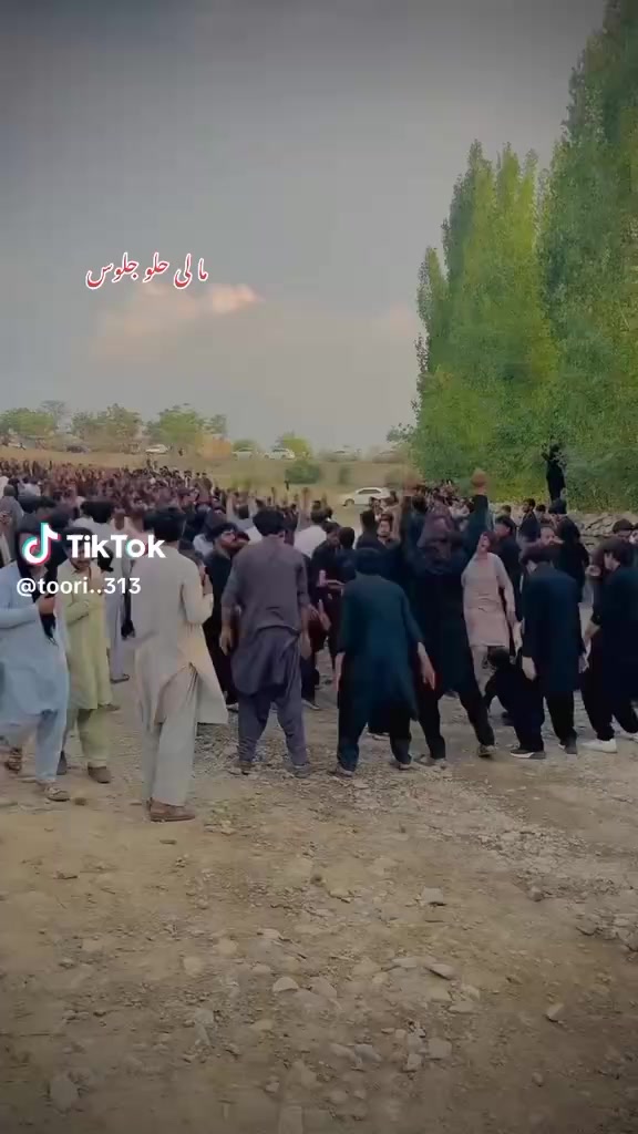 @jani bhai