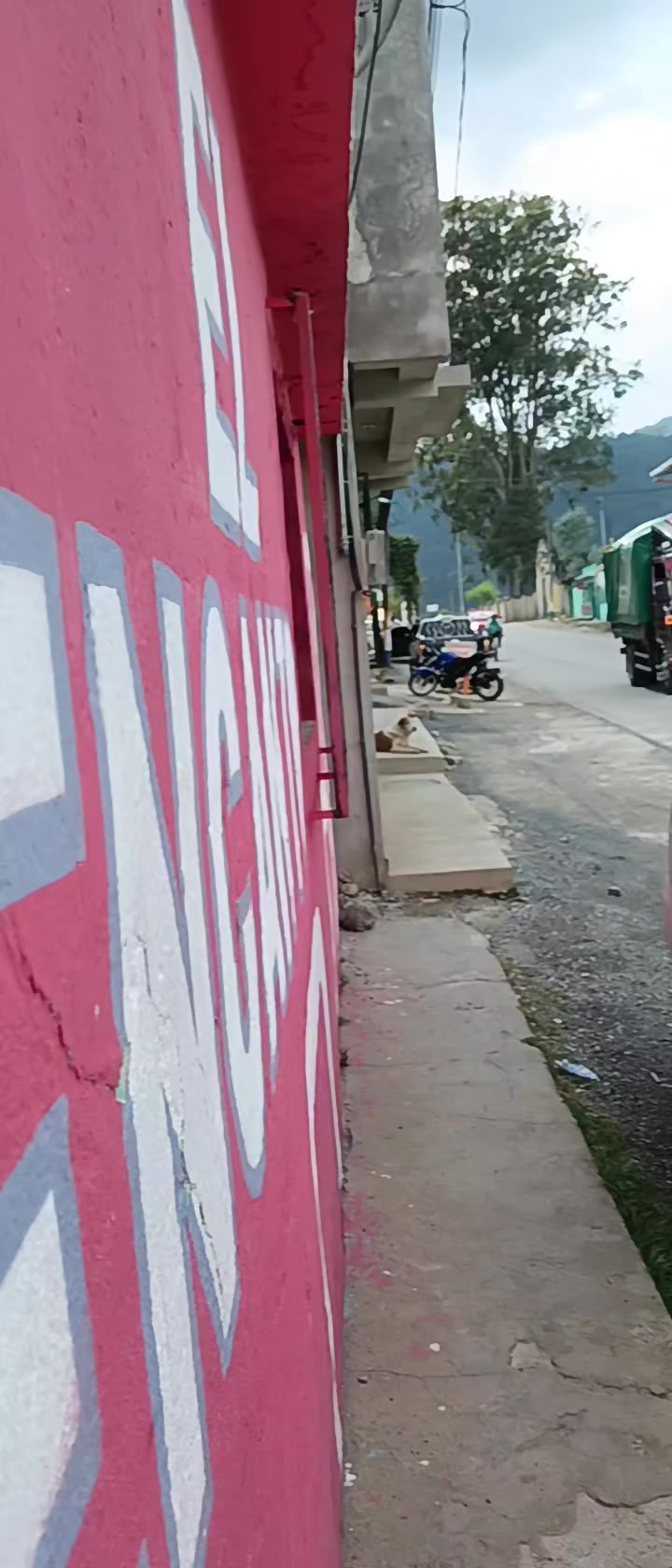 @H.L