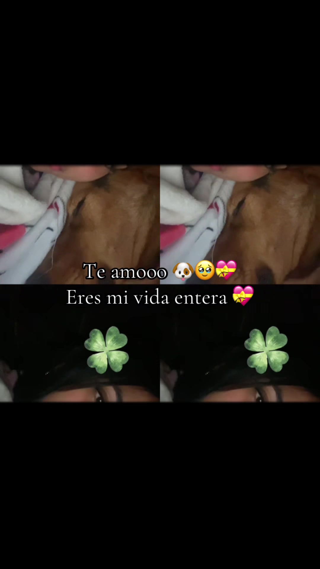 @La patrona.D.M✨❤️