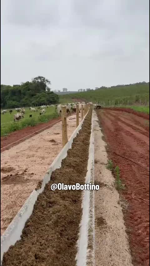 @Olavo Franco Bottino