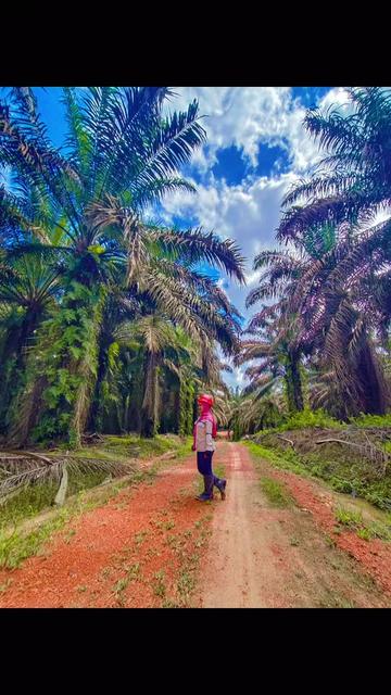 @mbakwatini🌴