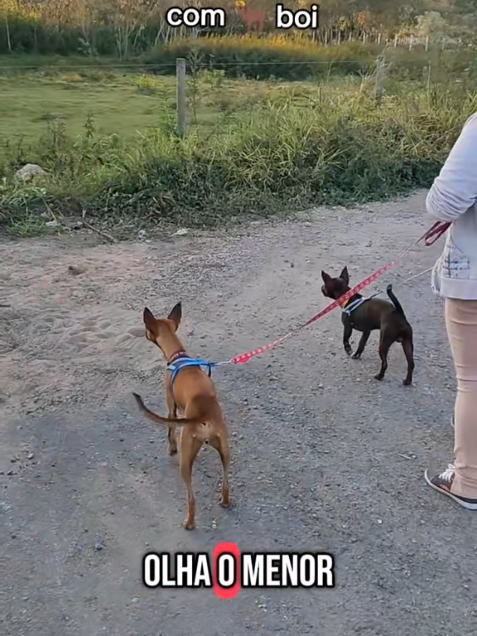 @Belinha e tiamara