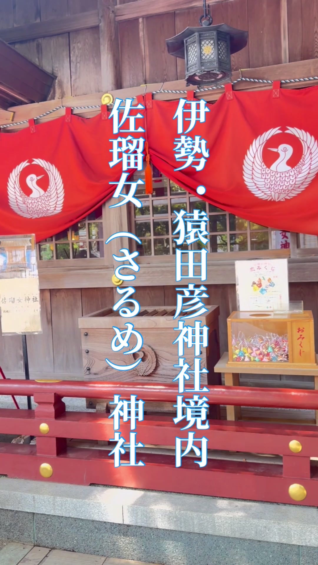 @おりーぶチャンネル