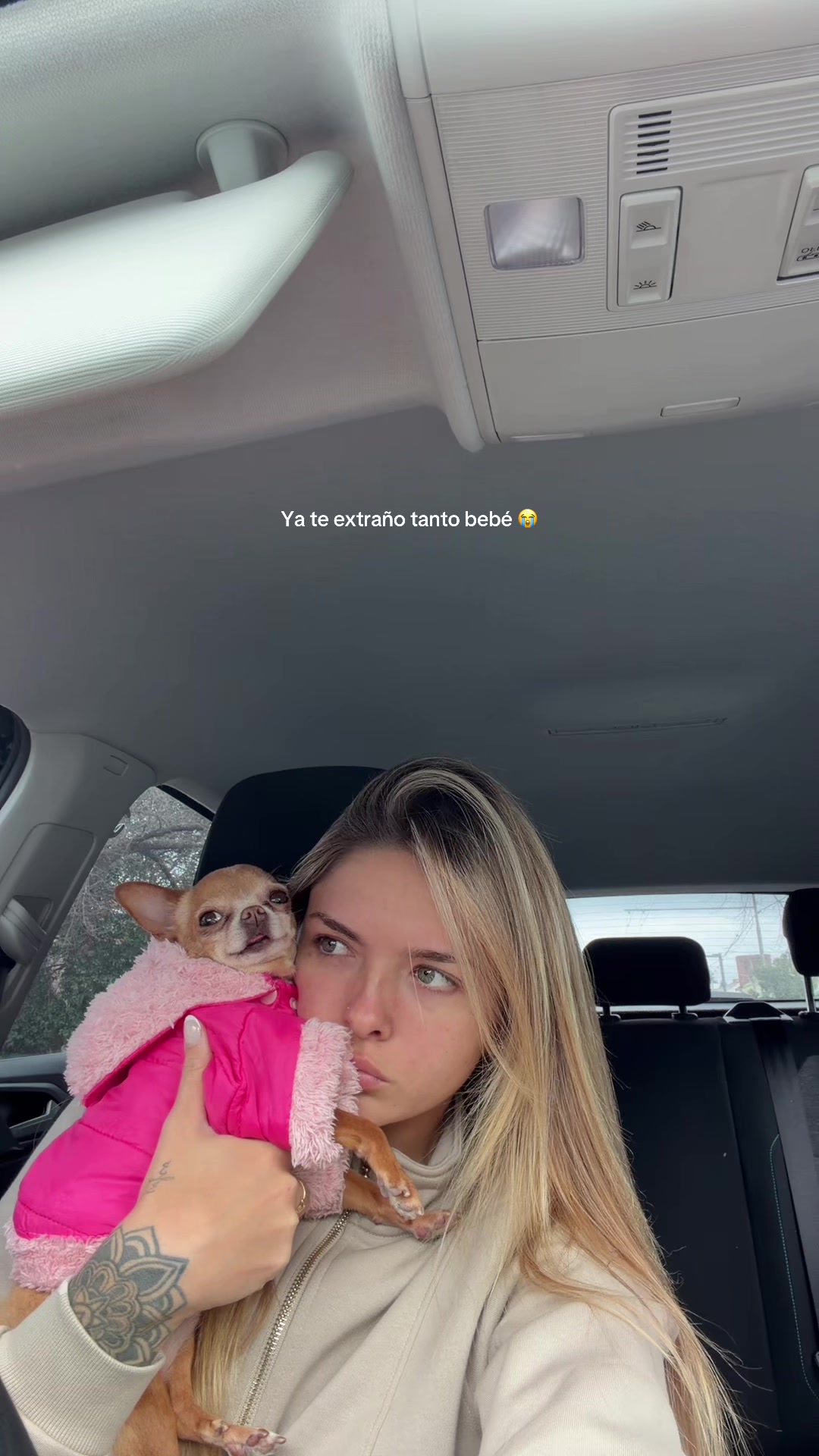 @Priscila Rojas