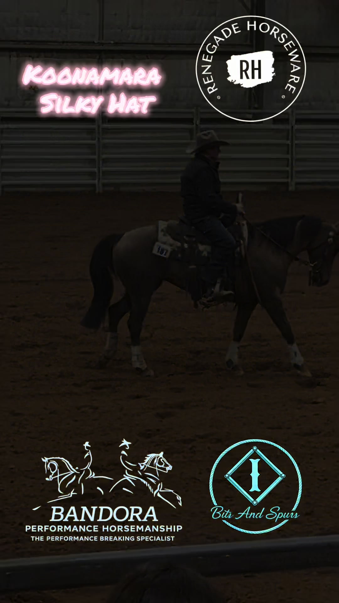 @Bandora_Horsemanship