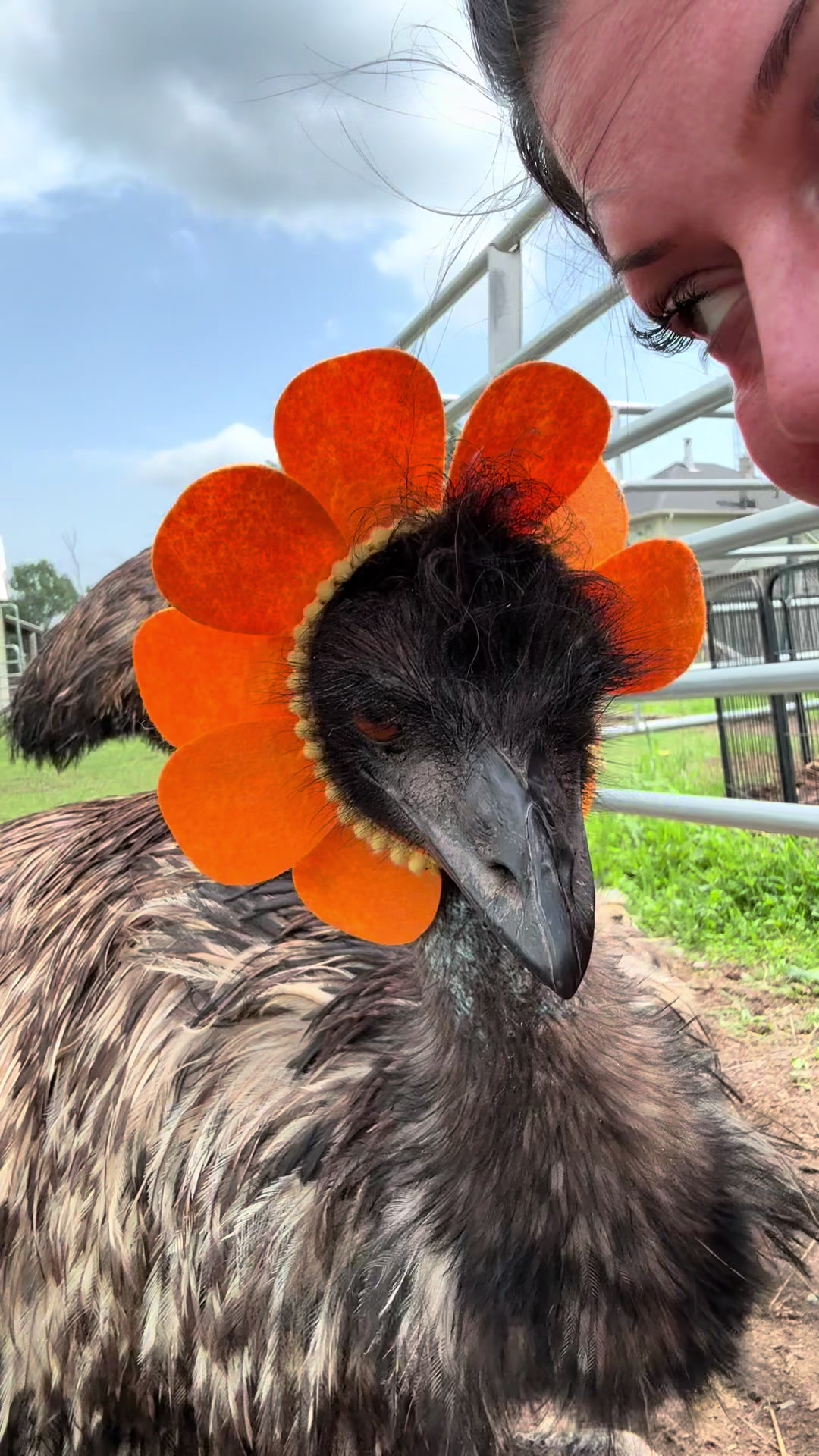@Useless Farm