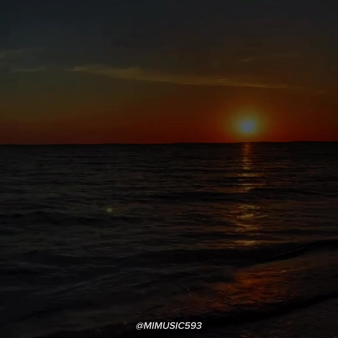 @MiMusic593