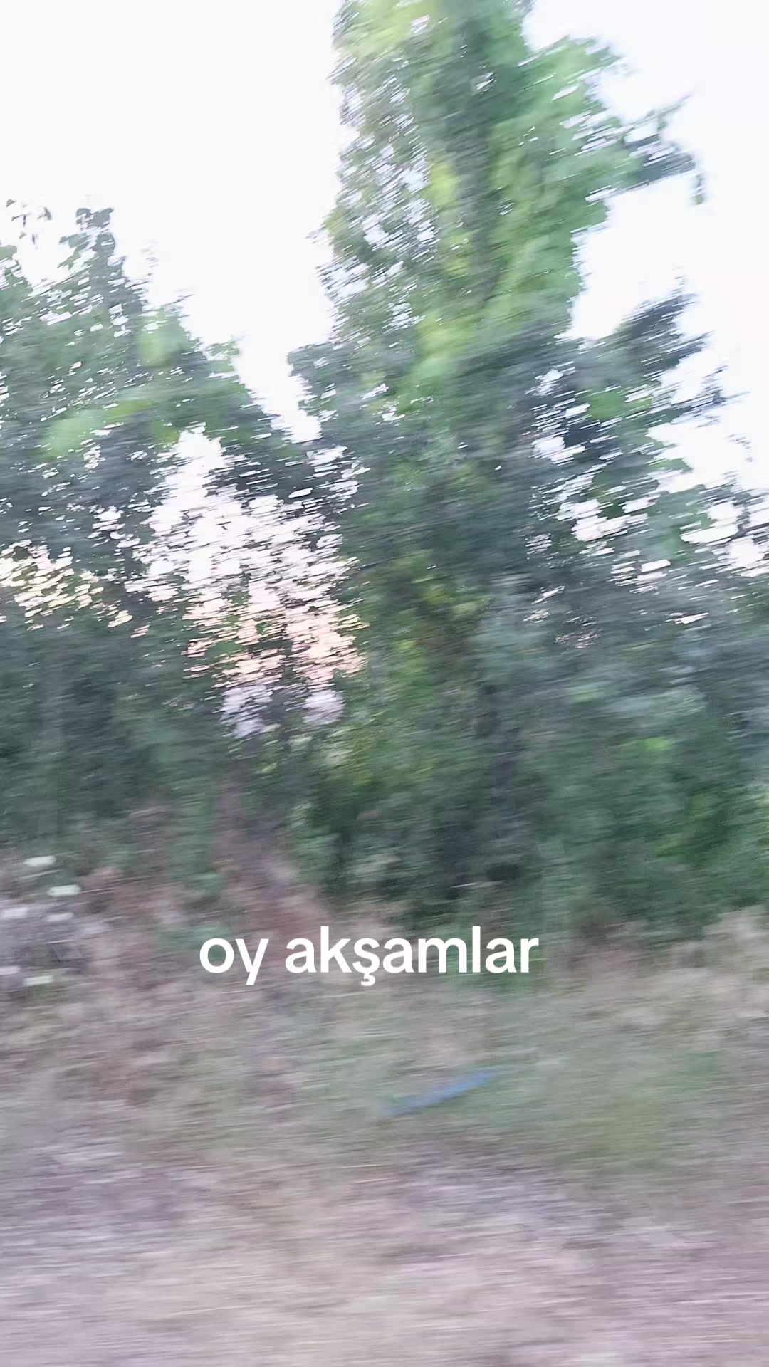 @g&uuml;lo g&uuml;l kız