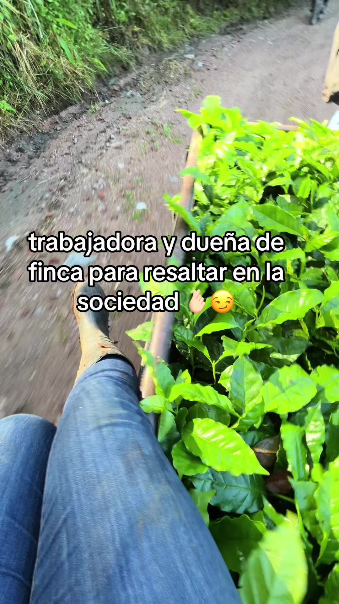@yaneth