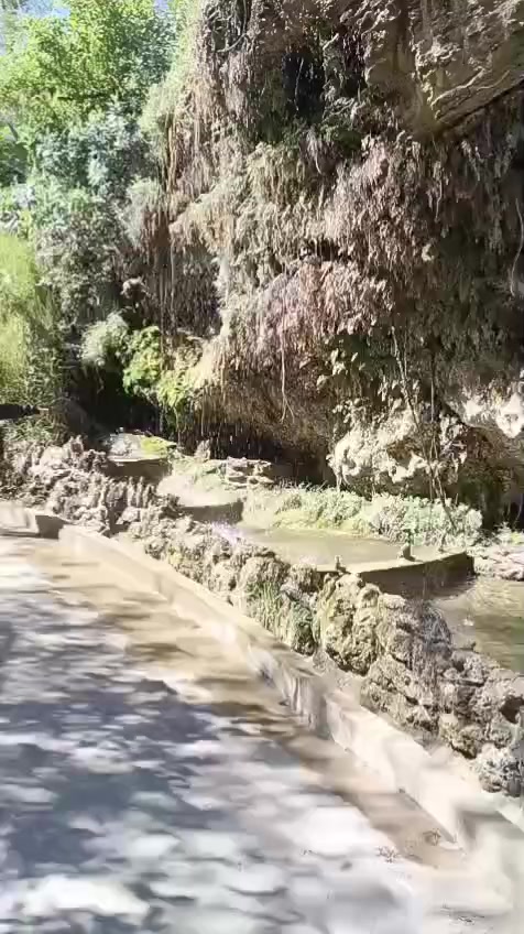 @Noguera carlos