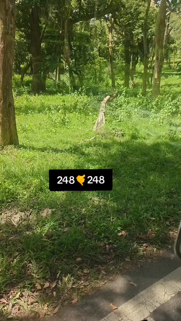 @பேப்பர் ஐடி 248 🌹1