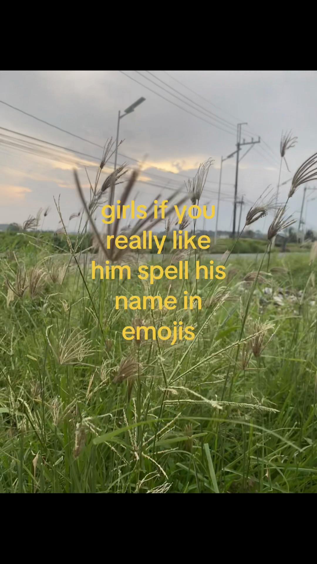 @zisky_