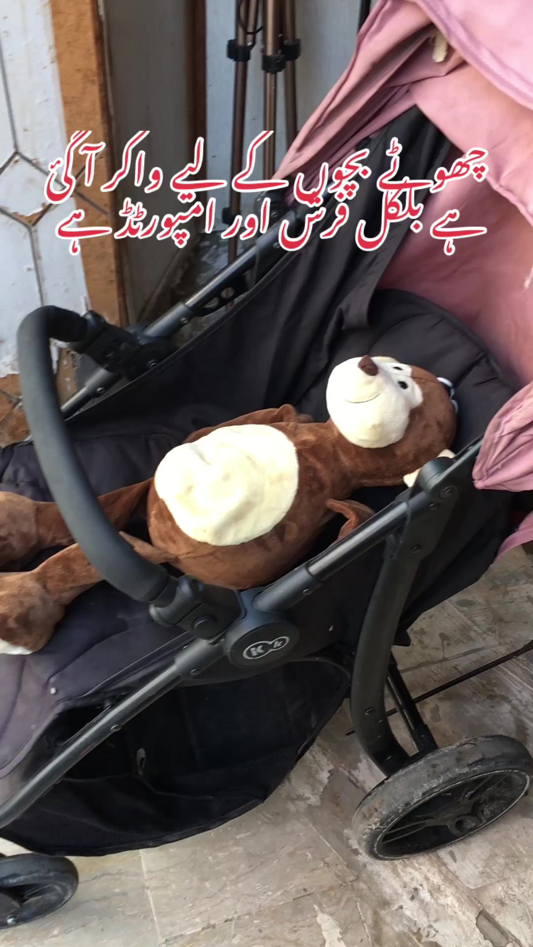 @دانش وکیل