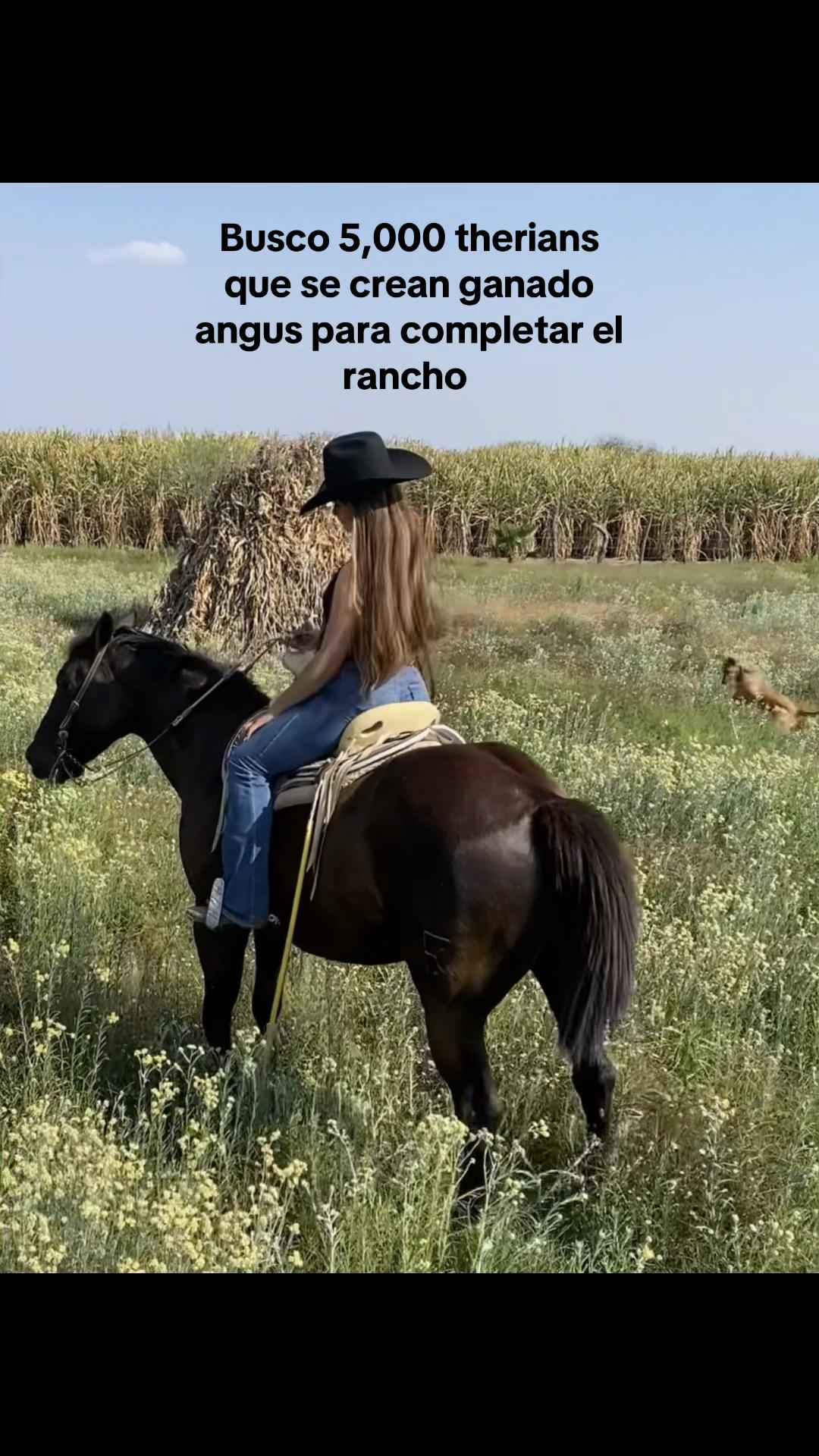 @Flor Flores