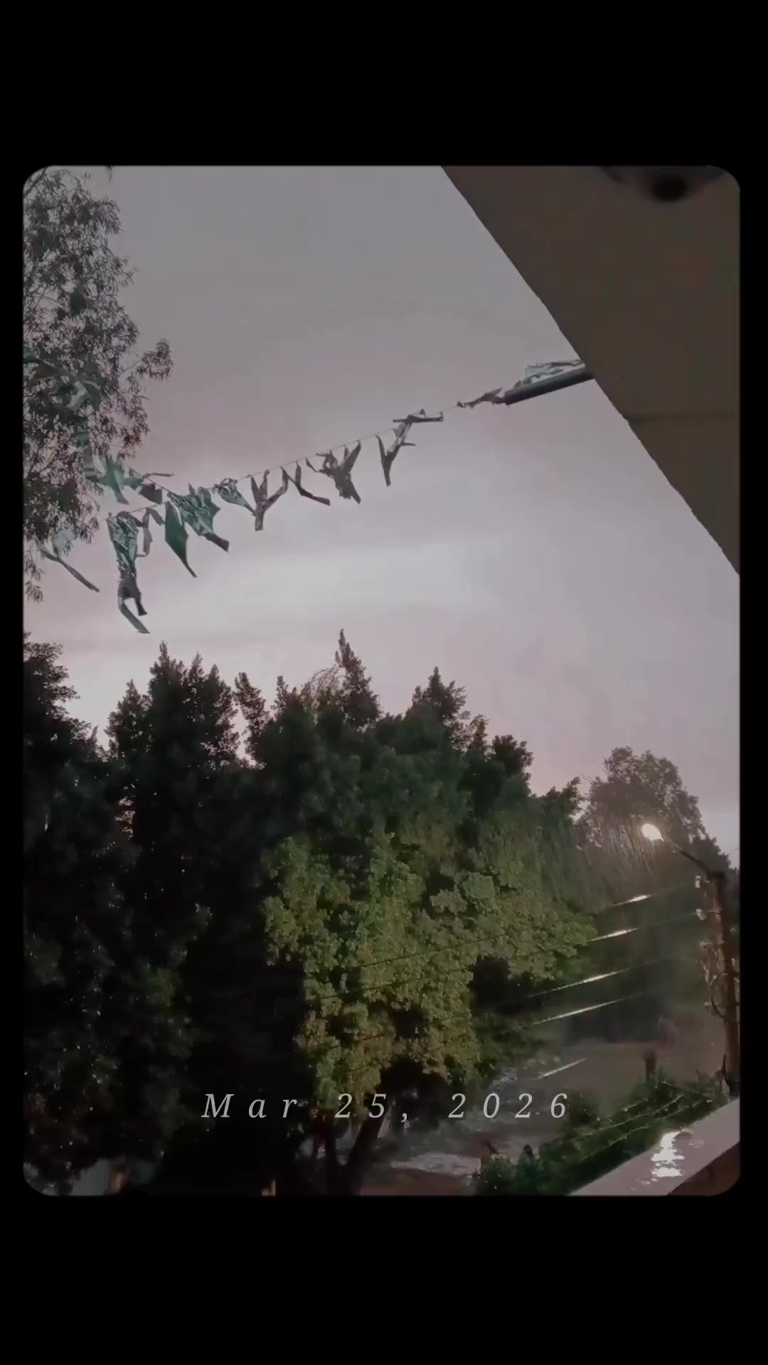 @شـروق نـصـر