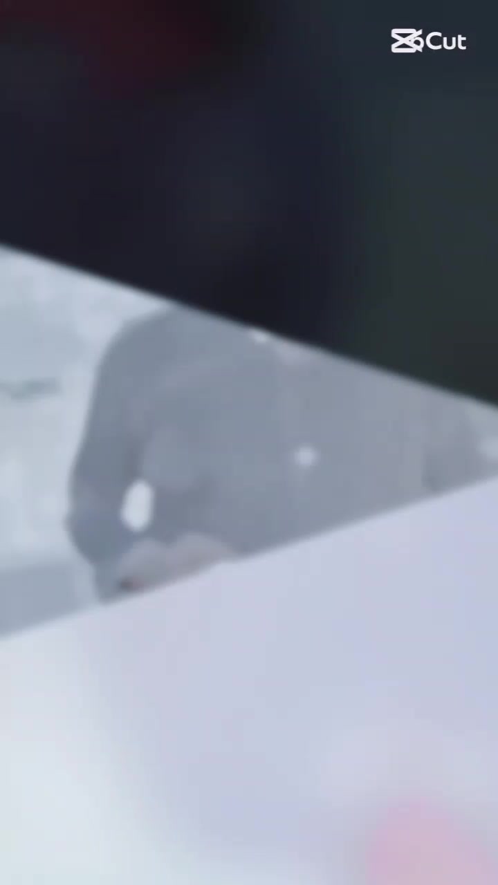 @ᡕᠵ气 ࠣ࠘𝐲𝐚𝐬𝐞𝐞𝐧ᡁࠣ࠘᠊᠊ࠢ࠘᠊᠊亠═一