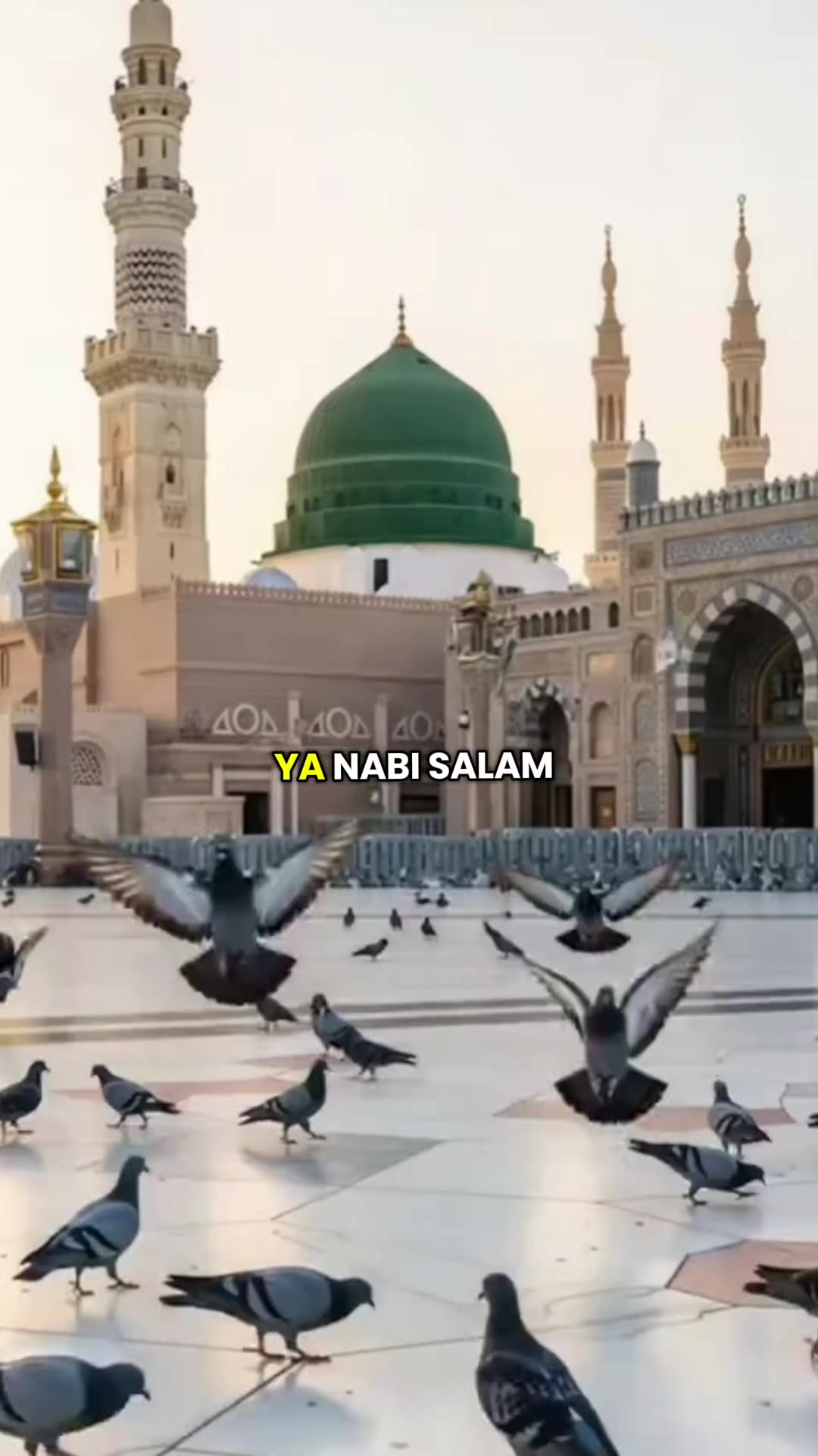 @Fatimah
