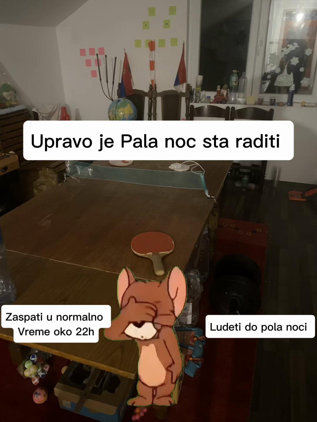 @Joca_cikica