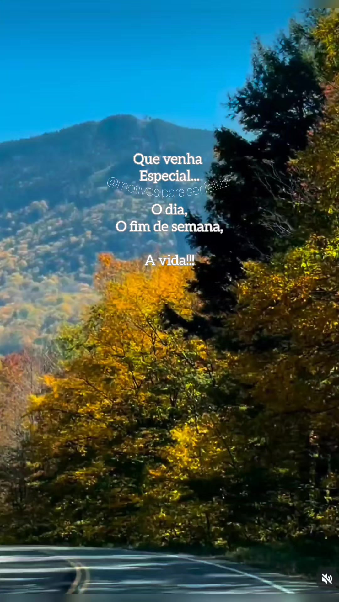 @Motivos para ser feliz