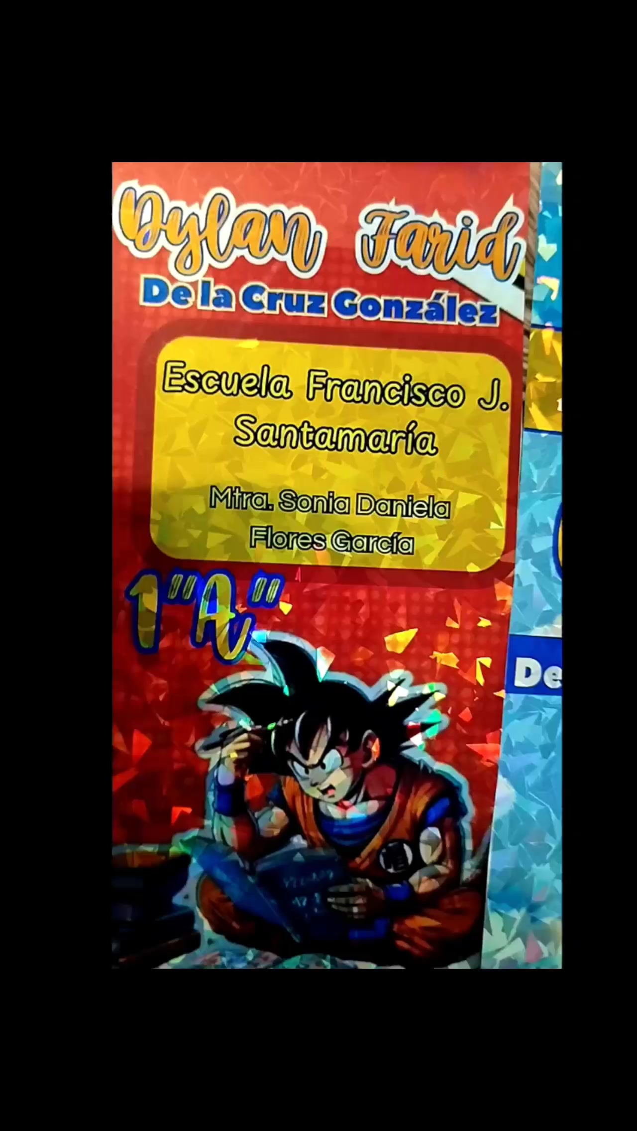 @Danny Flores Garcia