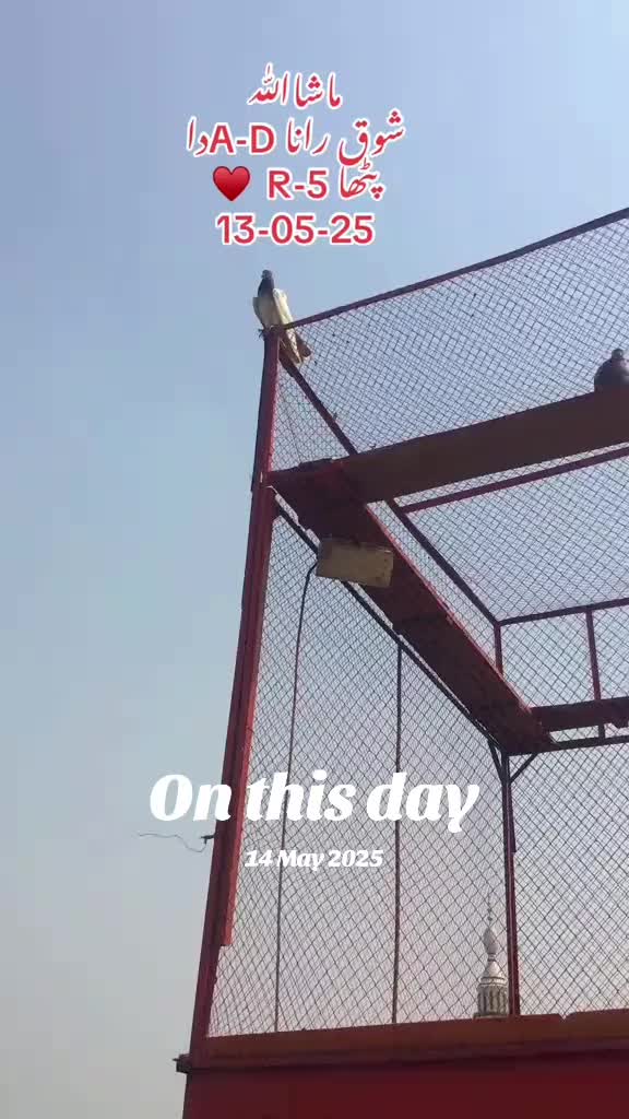 @RanaAdi302