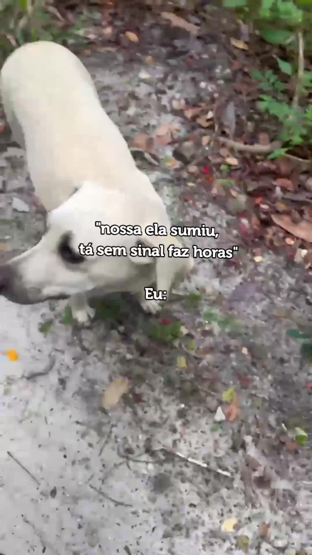 @Ana Beatriz
