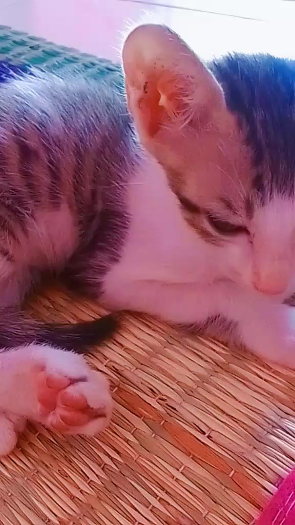 @Latha.k