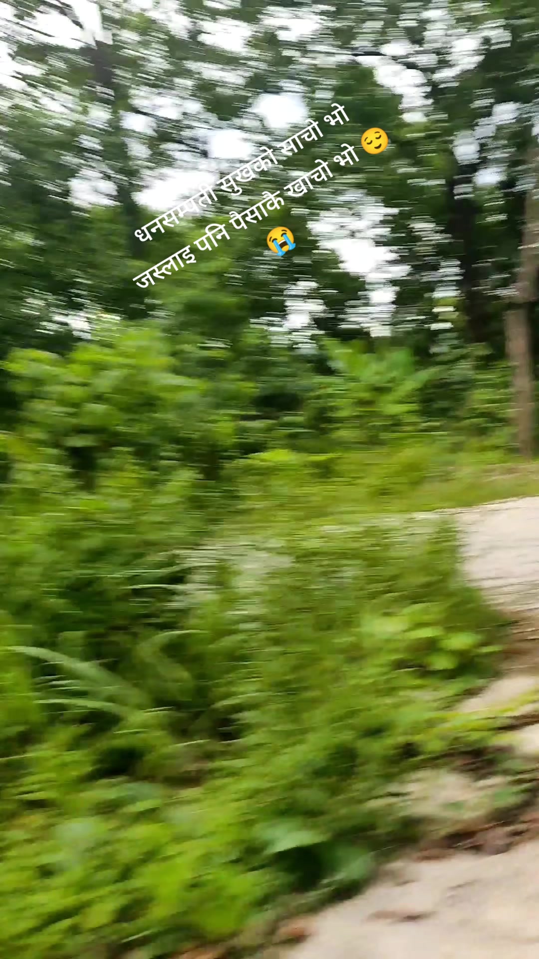 @Mina Adhikari