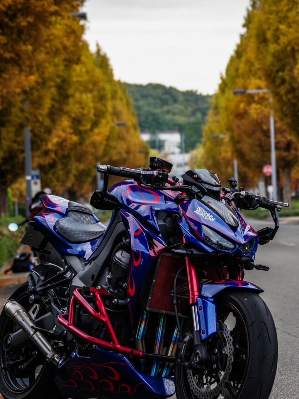 @MotoVista