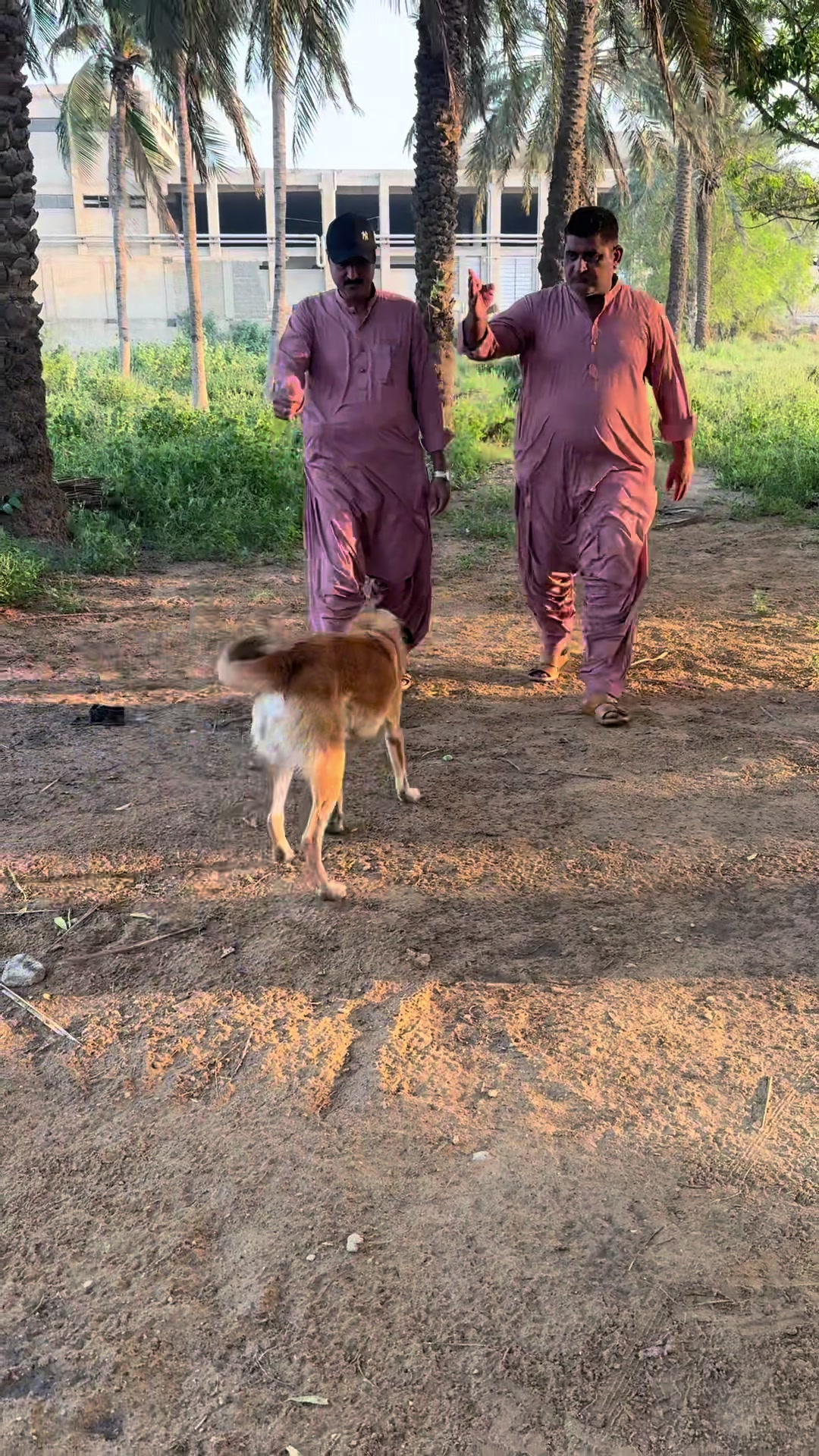 @Jahnzeb Zaib