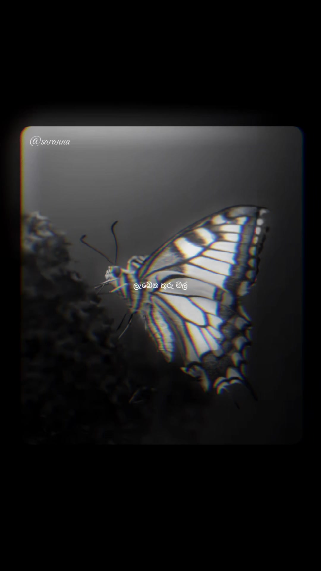 @•𝗦𝗮𝗿𝗮𝗻𝗻𝗮☁️