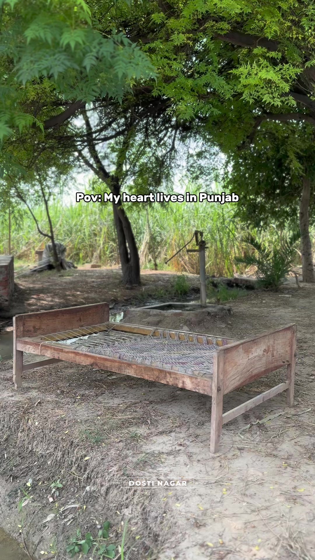 @دوستی نگر