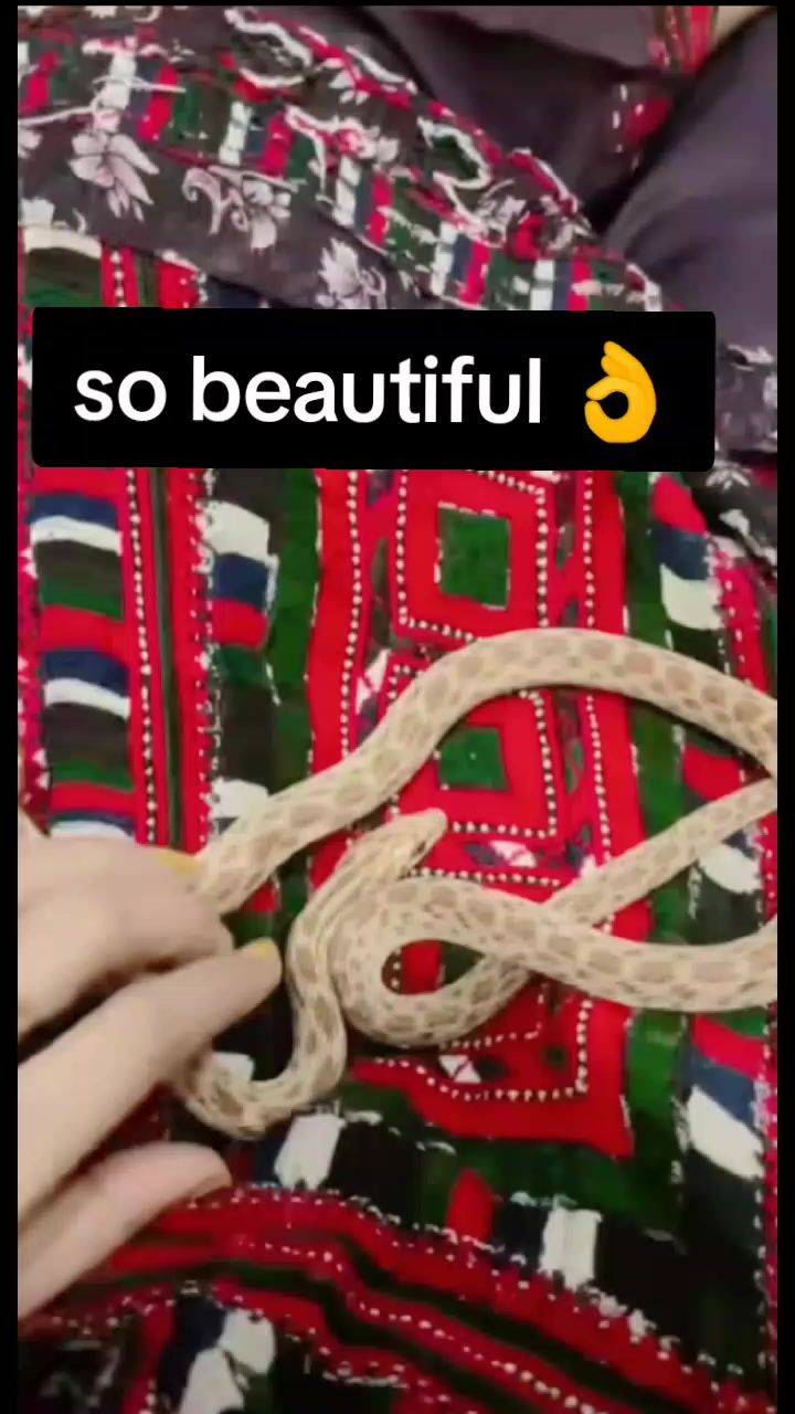 @Hub chauki ki👑 shehzadi 👑