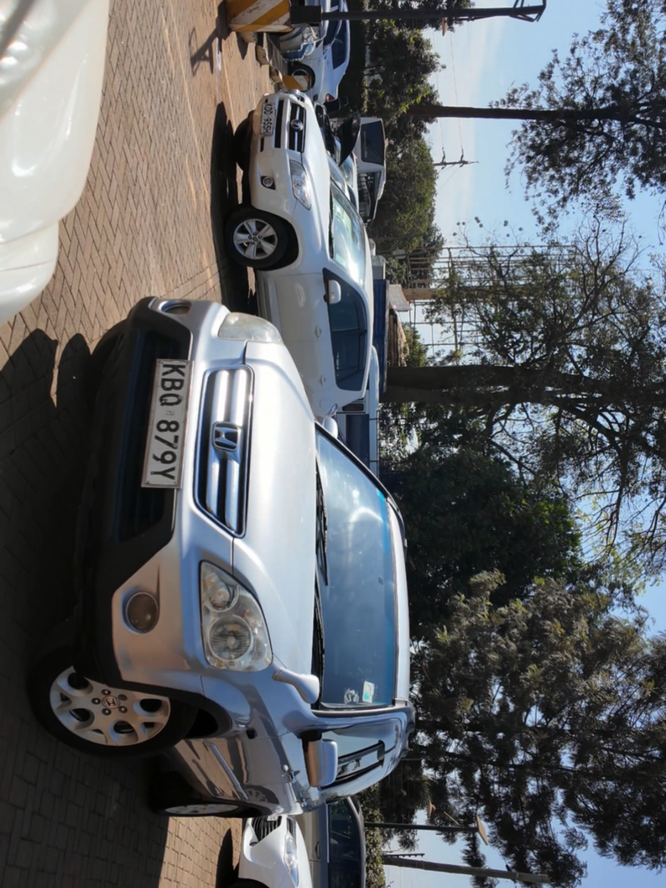 @CarPlug 254