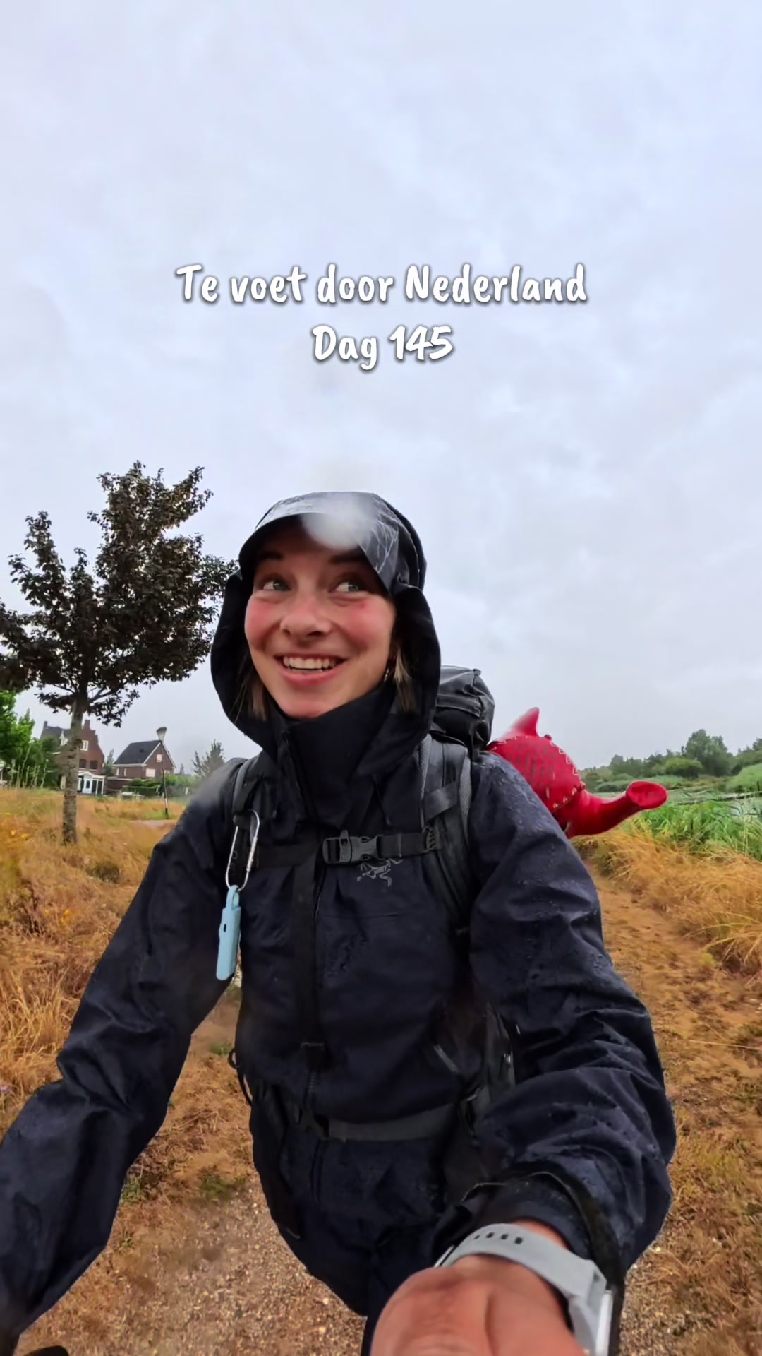 @roosvdplassche