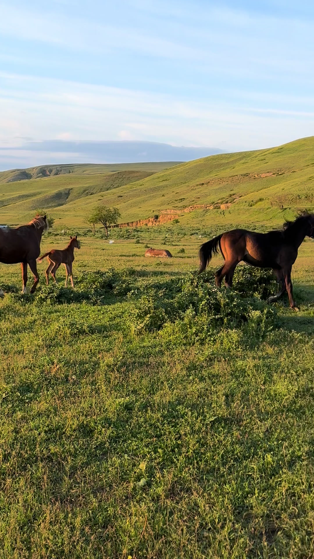 @MakvinStud