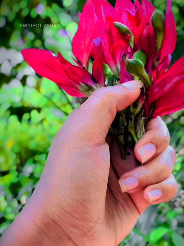 @ᥫ᭡🌼𖤬𝕞𝕞ᑌ 𝐁ᴀʙᴀ 🤍🐣༗