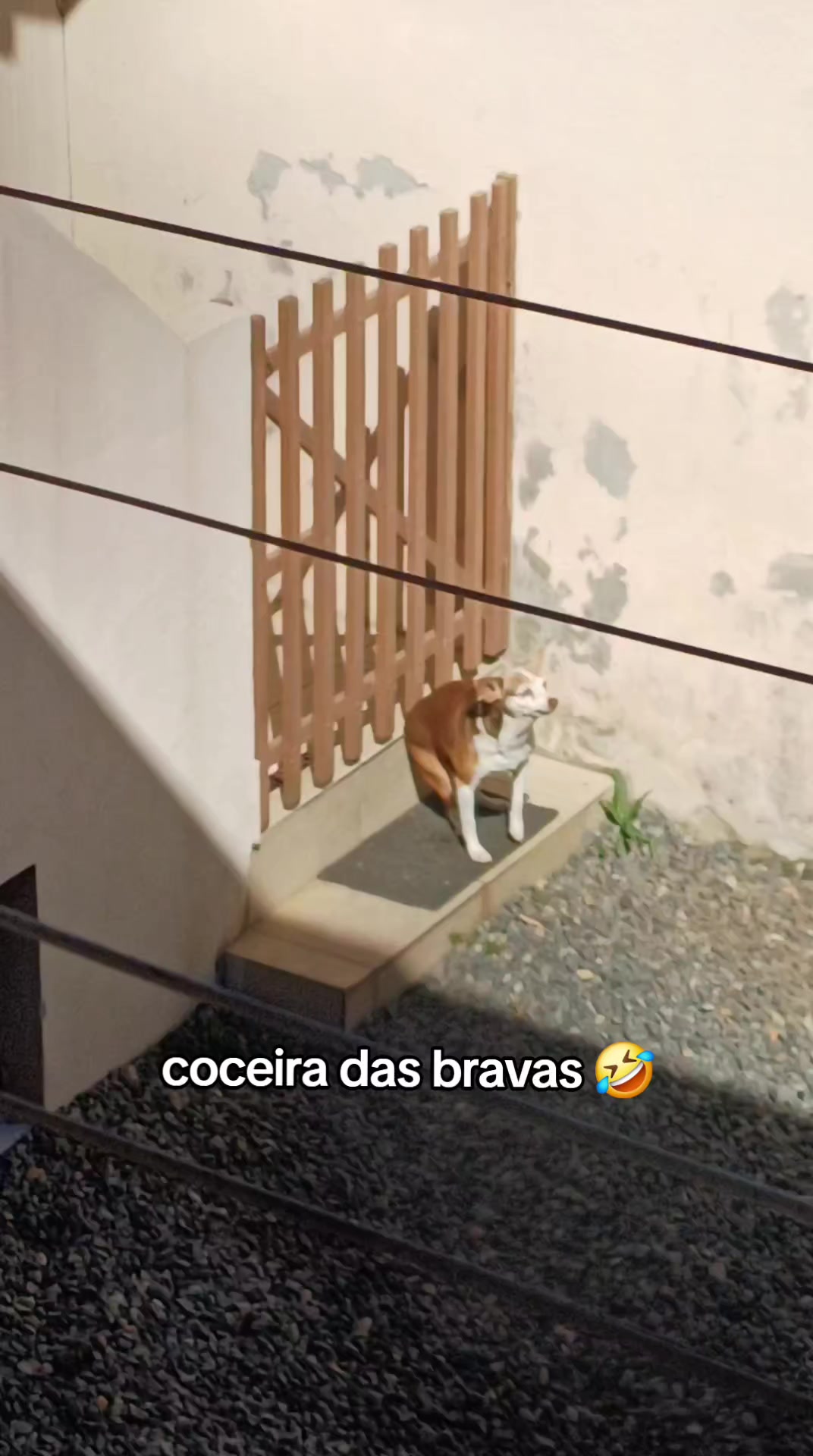 @Gabriela Ribeiro