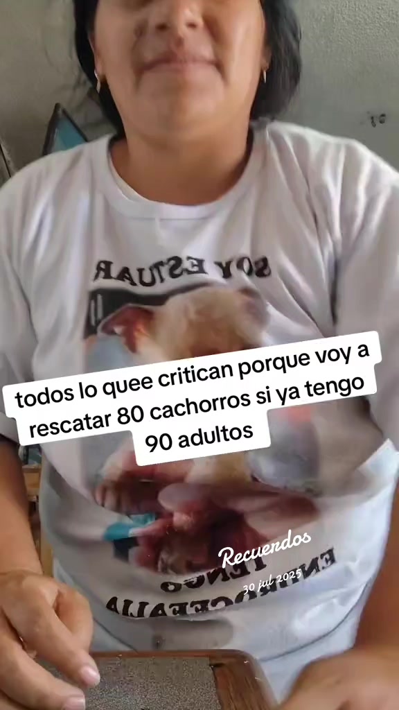 @rescate de perros guapos 😚