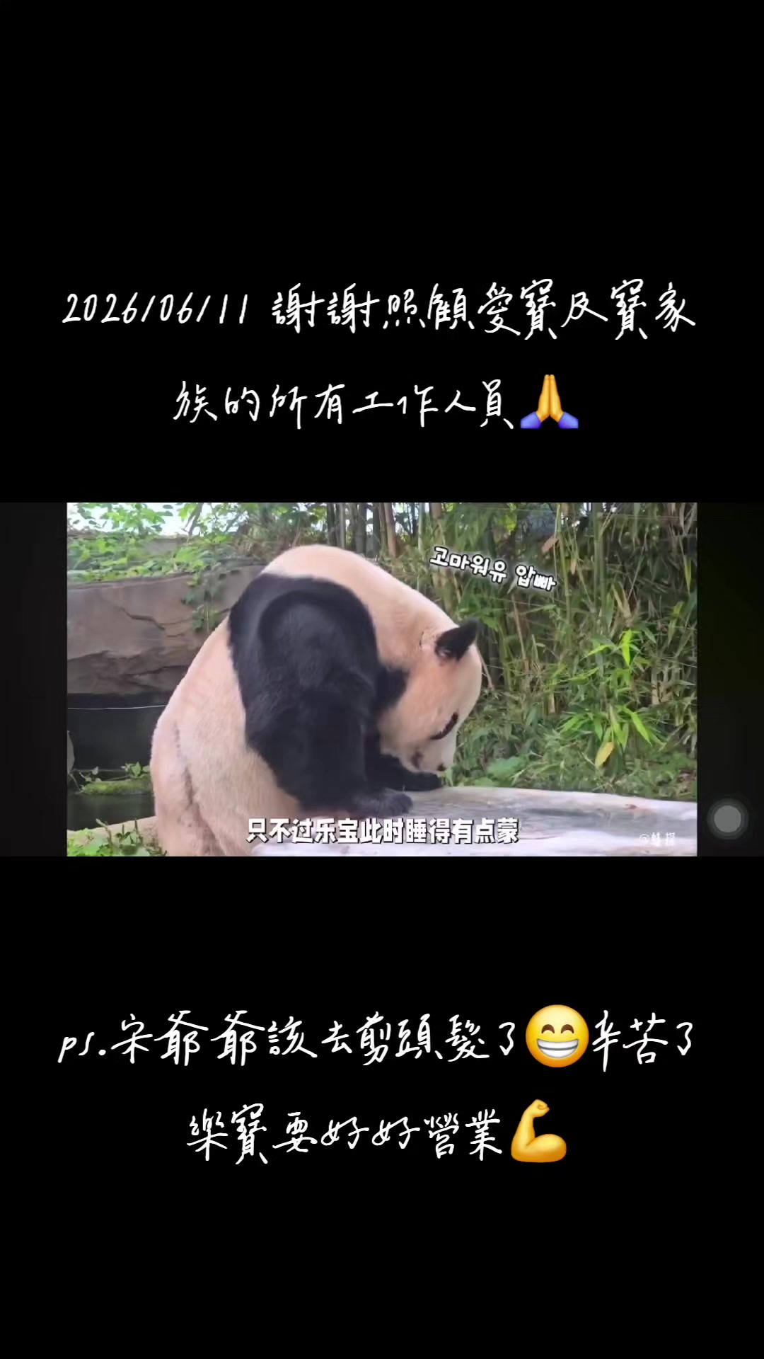 @福寶需要愛的抱抱