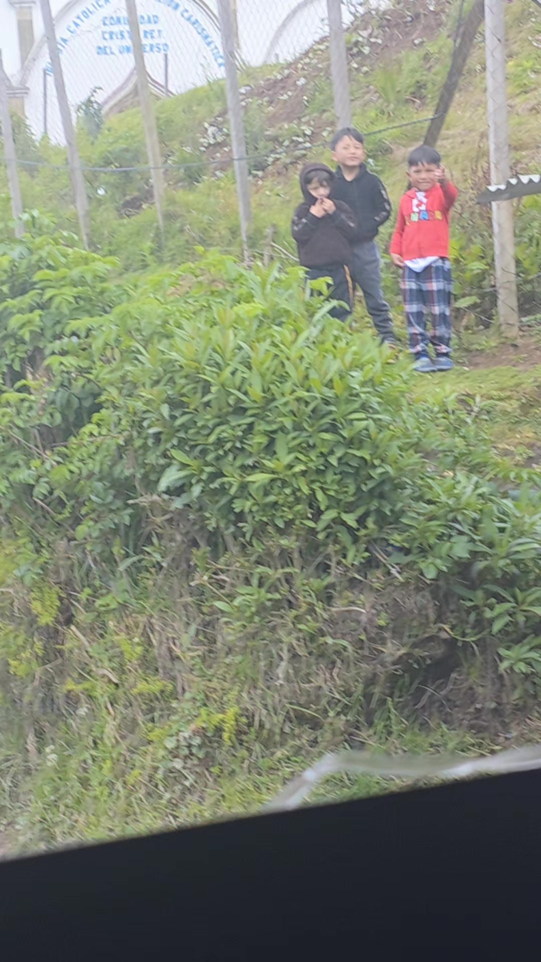 @miguel angel