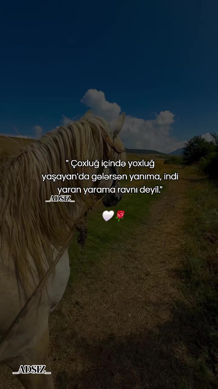 @_ADSIZ_