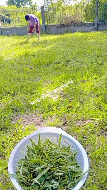 @ပအိုဝ်းမူပေ🥰🥰🥰🥰🥰