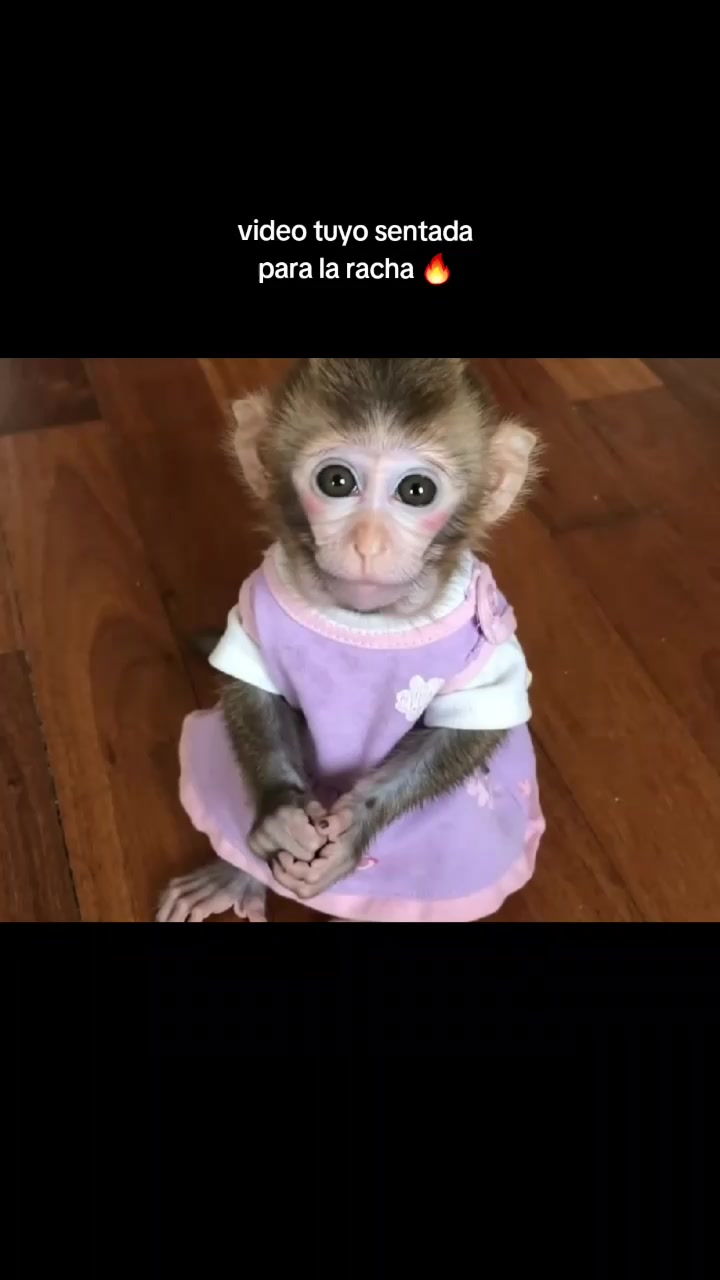 @RabPesito 🔥